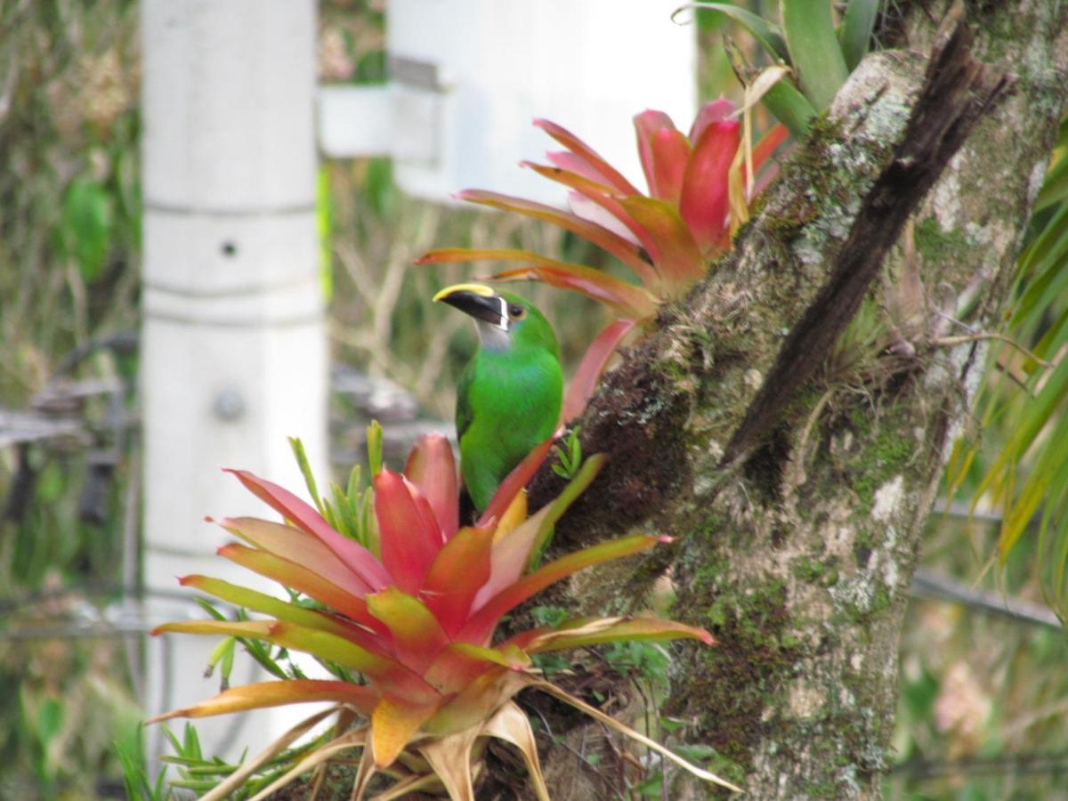 Mi Jardin Encantado Villa Luaran gambar